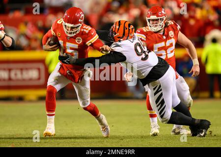 Cincinnati Bengals defensive tackle Zach Carter (95) warms up