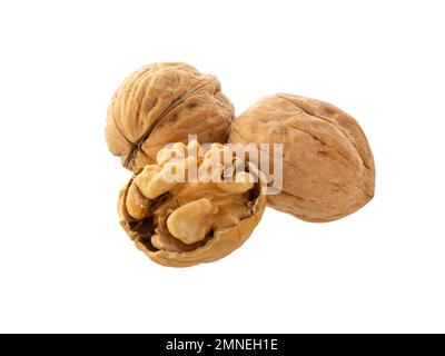 Walnut  isolated. Walnuts peeled and unpeeled  on white. Stock Photo