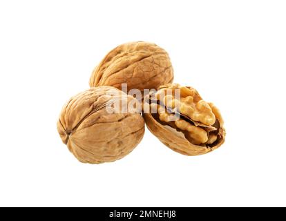 Walnut  isolated. Walnuts peeled and unpeeled  on white. Stock Photo