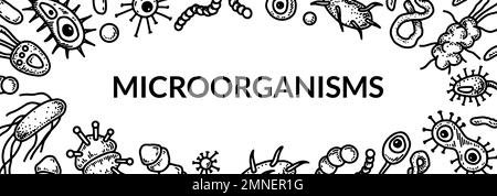 Microbiology banner. Collection of different types of microorganisms. Scientific vector illustration in sketch style Stock Vector