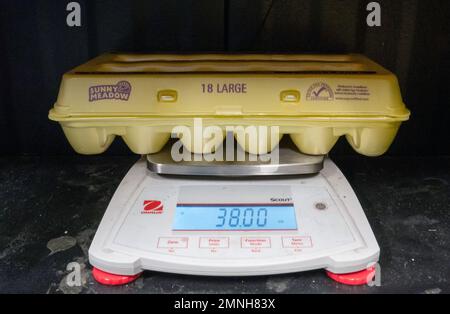 Egg scale hi-res stock photography and images - Alamy