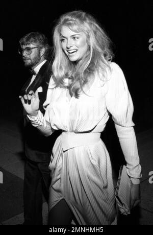 Donna Dixon at the Filmex Tribute To Elizabeth Taylor at The Music