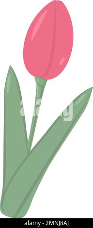 Unopened tulip bud in trendy soft shades in flat style. 8 March. Happy women day. Sticker. Icon. Isolate. Good for pattern, poster, brochure or price tag, label, greeting or invitation cards, web. EPS Stock Vector