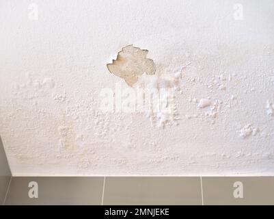Ceiling panels damaged as a moisture in the roof from rainwater leakage. Stock Photo