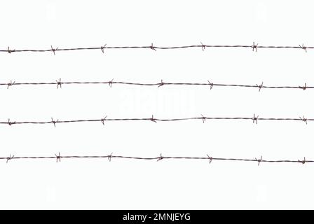 Barbed wires isolated with white bacground Stock Photo