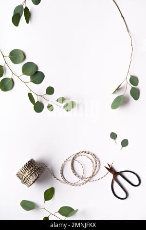 Eucalyptus twigs on white background. Flat lay, top view overhead. Scissors with reel of stripy cord. Stock Photo