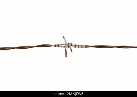 Barbed wires isolated with white bacground Stock Photo