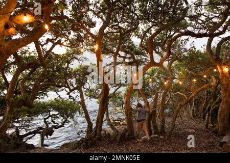 Boy (10-11) standing among trees at lagoon Stock Photo