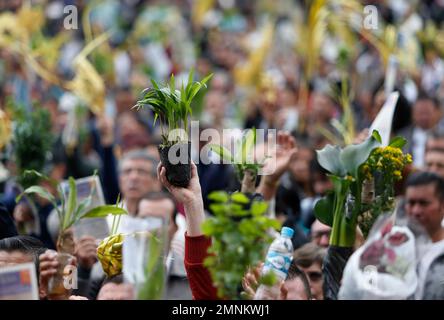 Faithful hold palm fronds to be blessed during an outdoor Palm Sunday ...