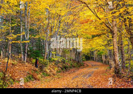Fall foliage color along the Cabot Trail, Cape Brreton Island, Nova Scotia, Canada. Stock Photo