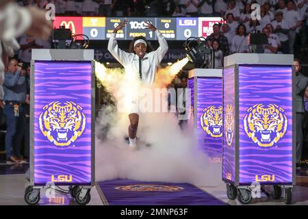 Baton Rouge, LA, USA. 30th Jan, 2023. LSU's Flau'jae Johnson (4) is introduced to the crowd prior to NCAA Women's Basketball action between the Tennessee Volunteers and the LSU Tigers at the Pete Maravich Assembly Center in Baton Rouge, LA. Jonathan Mailhes/CSM/Alamy Live News Stock Photo