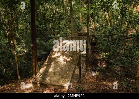 Old abandoned concrete bridge in the jungle of Ko Lanta, Krabi, Thailand Stock Photo