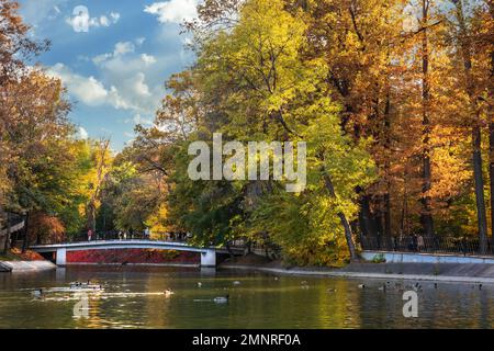 Autumn time on Almaty Lake in Gorky Park Stock Photo