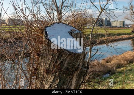 Zurich, Switzerland, January 19, 2023 Landscape scenery with a small river at the international airport Stock Photo