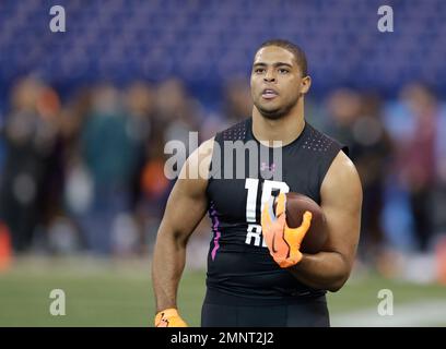 Dimitri flowers jersey hotsell