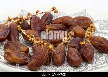 Dates from Tunis. Deglet Nour Fatina isolated on white background Stock Photo