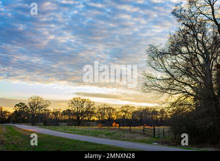 Landscape of golden hour light illuminating dramatic sky on a country road. Stock Photo