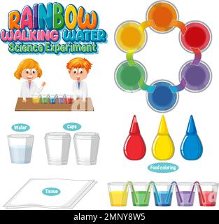 Rainbow walking water science experiment illustration Stock Vector