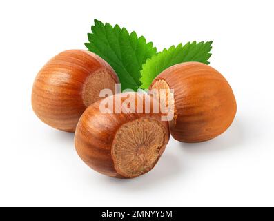 Hazelnuts with leaves isolated on white background Stock Photo