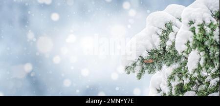Beautiful winter snowy blurred defocused blue background Stock Photo