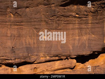 Rock carvings depicting cows, Tassili N'Ajjer National Park, Tadrart Rouge, Algeria Stock Photo