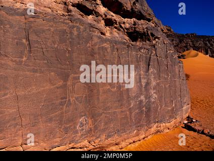 Rock carvings depicting cows, Tassili N'Ajjer National Park, Tadrart Rouge, Algeria Stock Photo