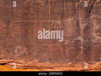 Rock carvings depicting cows, Tassili N'Ajjer National Park, Tadrart Rouge, Algeria Stock Photo