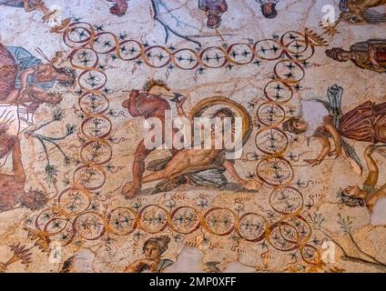 Floor mosaic from the House of Dionysus Bacchus, North Africa, Djemila, Algeria Stock Photo