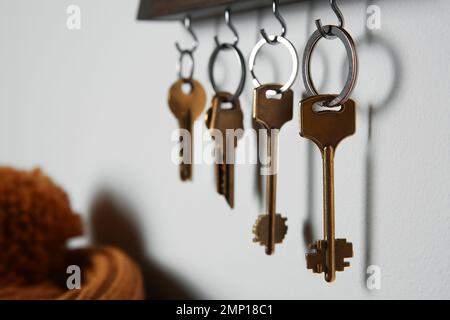 Holder with different keys on light grey wall indoors Stock Photo