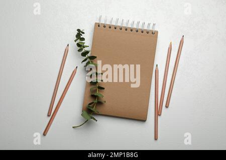 Kraft notebook, coloured pencils and branch on light table, flat lay Stock Photo