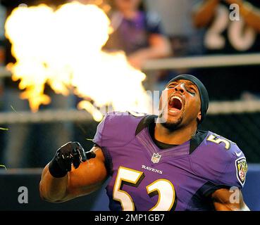 https://l450v.alamy.com/450v/2mp1gb7/file-in-this-aug-17-2012-file-photo-baltimore-ravens-linebacker-ray-lewis-reacts-as-he-is-introduced-before-an-nfl-preseason-football-game-against-the-detroit-lions-in-baltimore-lewis-was-elected-to-the-pro-football-hall-of-fame-on-saturday-feb-3-2018-ap-photonick-wass-file-2mp1gb7.jpg