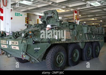 A civilian driver guides a Stryker combat vehicle off the Liberty Passion at Port of Pyeongtaek, South Korea on Oct. 8, 2022. Stock Photo