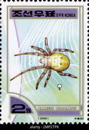 North Korean postage stamp from 2000 featuring the Araneus quadratus spider, also known as the four-spot orb-weaver. Stock Photo
