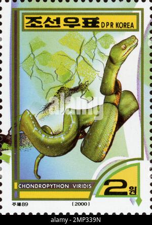 North Korean postage stamp from 2000 featuring a Green Tree Python (Chondropython viridis) on a branch, 2 won denomination. Stock Photo