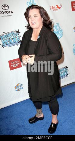 Comedienne Rose O'Donnell at Comedy Central's Night of Too Many Stars hosted by Jon Stewart at The Beacon Theater in New York, NY. 4/13/08. Stock Photo