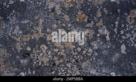 Close Up, The Texture Of The Old Cement Floor Is Worn Out, With Holes And Patterns Stock Photo