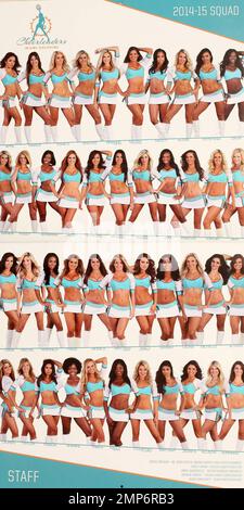 Photo: Miami Dolphins Cheerleaders 2014 Swimsuit Calendar Unveiling -  MIA20130905113 