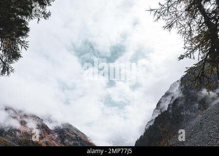 Dense white fog with snow and clouds envelops the stone mountains in Altai during the day in the forest. Stock Photo