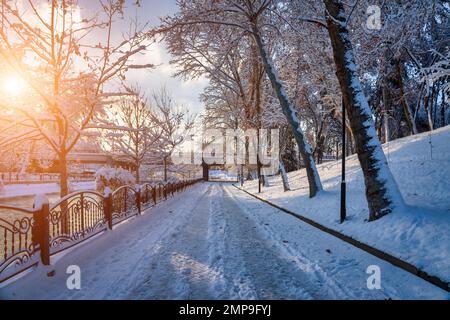 Sunset or dawn in a winter city park with trees covered with snow and ice and sunlight streaming through tree trunks. Stock Photo