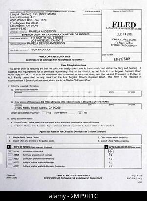 Exclusive!! These are the official court documents showing that Pamela ...