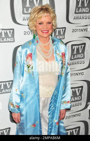 Christine Ebersole poses on the red carpet at the 9th Annual TV Land Awards held at the Javits Center. New York, NY. 04/10/11. Stock Photo