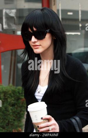 Ashlee Simpson-Wentz shows off her cool new hair style as she leaves Ken  Paves salon carrying a stylish Chanel handbag and wearing sequin Chanel  flats. Los Angeles, CA. 02/18/10 Stock Photo 