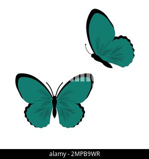 Butterfly vector illustration. Isolated cartoon set icon decorative insect . Vector cartoon set icon butterfly. Stock Vector
