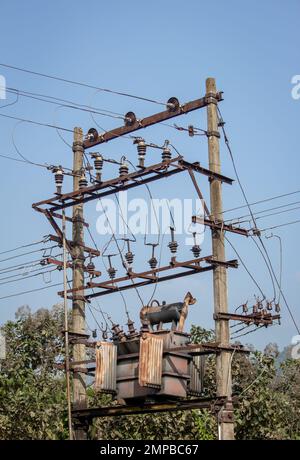 View of electrical transformer in rural area in India Stock Photo