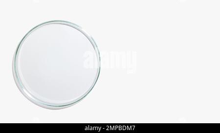 An empty petri dish on a light background. Stock Photo