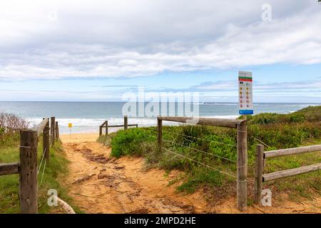 Sandy path entrance to Newport Beach, one of Sydney's northern beaches on a summers day 2023, timber wooden fencing around the vegetation,Australia Stock Photo