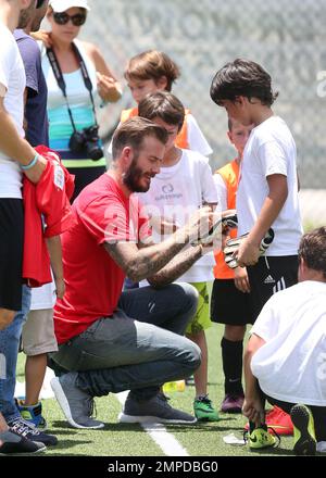 He Took a Photo With Young Soccer Stars, The Beckham Clan Spent a  Beautiful Week in Miami Together — See the Sunny Pics!