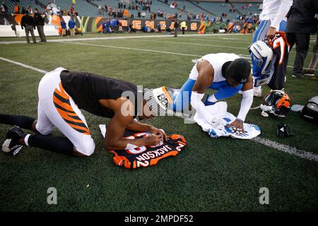 Detroit Lions defensive back D.J. Hayden (31) picks up a fumble and take it  to the end zone for a touchdown after Detroit Lions outside linebacker  Tahir Whitehead (59) sacks Chicago Bears