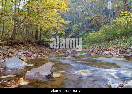 Small stream with rocks flows through a Virginia forest in the autumn Stock Photo