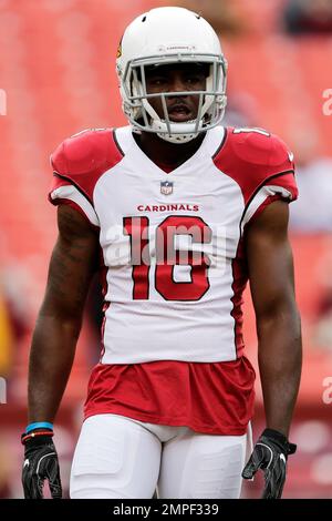 Arizona Cardinals running back Darrel Williams runs with the ball after  making a catch as he takes part in drills during the NFL football team's  training camp at State Farm Stadium, Tuesday